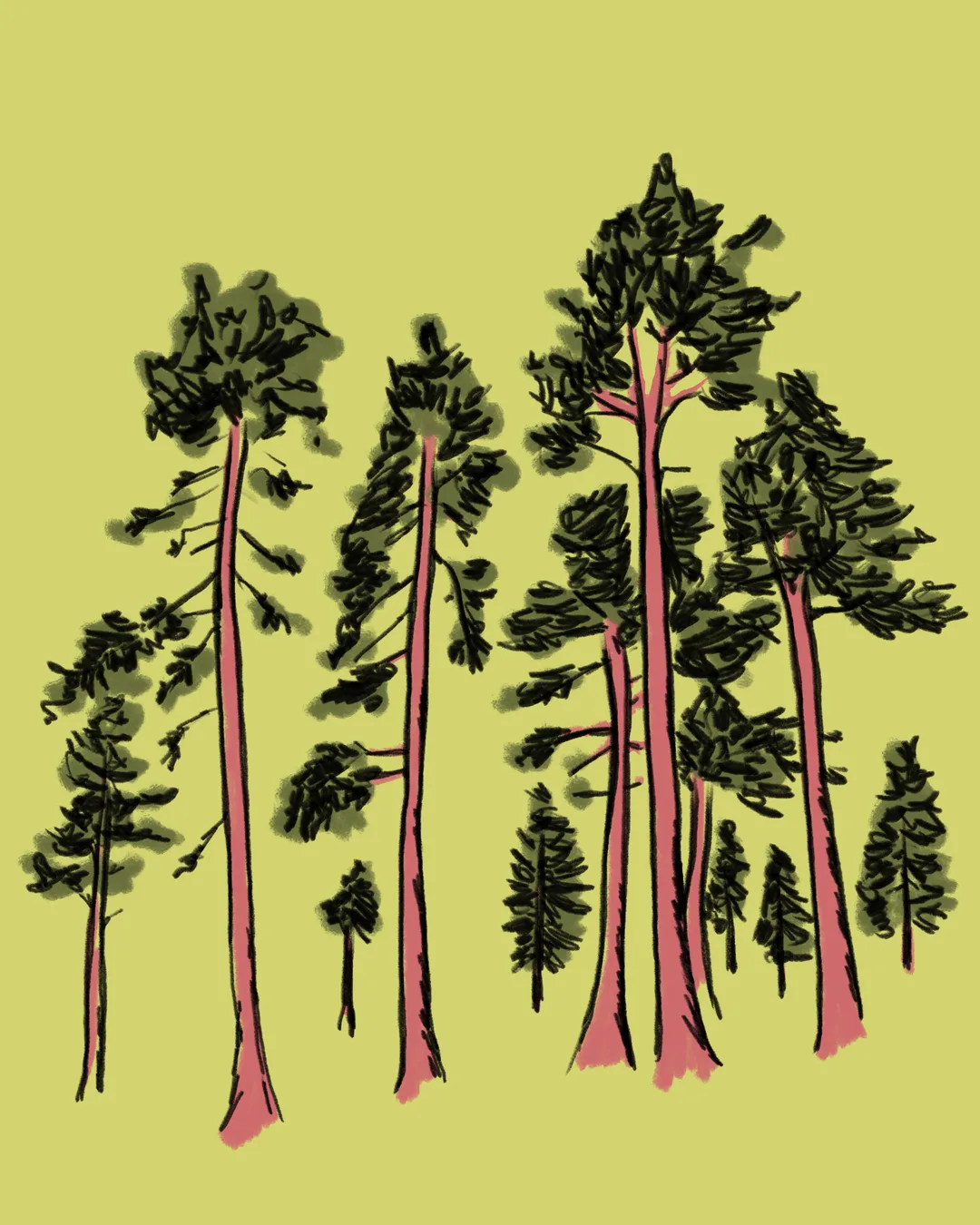 Big Deep — hand-drawn trees